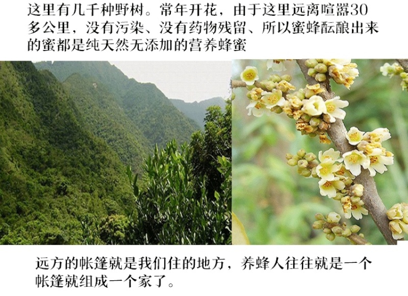 原生态零添加零污染农家自产自销土蜂蜜正宗包邮