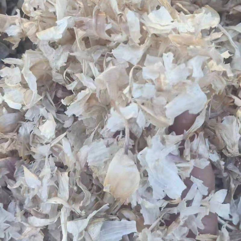 现货供应大蒜皮无土无膜蒜皮羊饲料杀菌