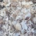 现货供应大蒜皮无土无膜蒜皮羊饲料杀菌