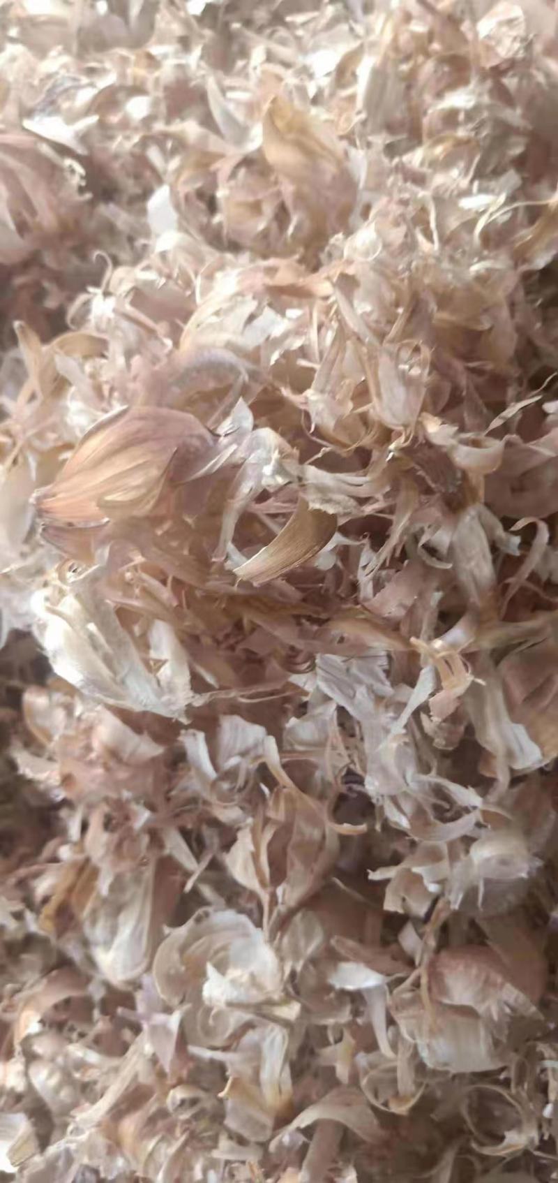 现货供应大蒜皮无土无膜蒜皮羊饲料杀菌