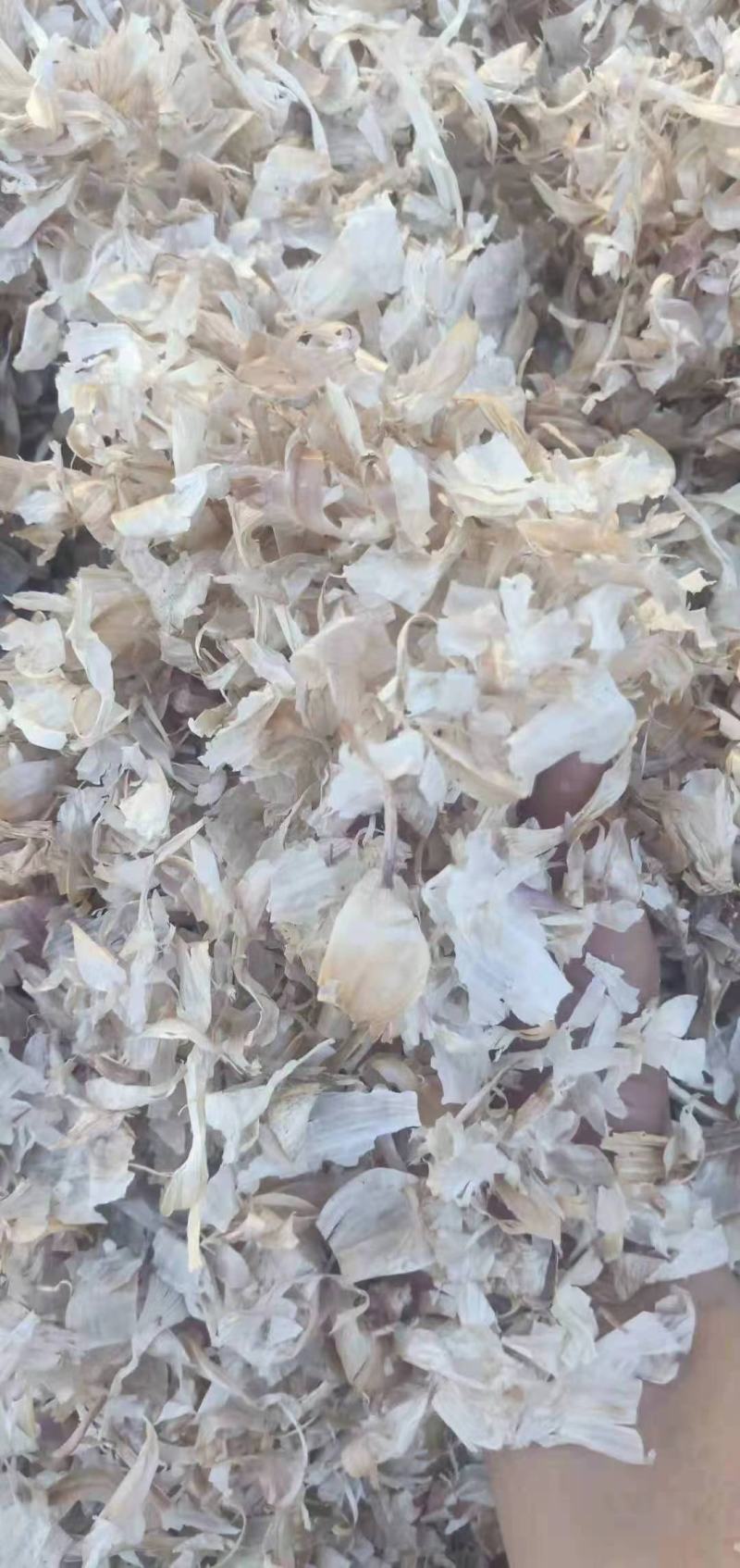 现货供应大蒜皮无土无膜蒜皮羊饲料杀菌