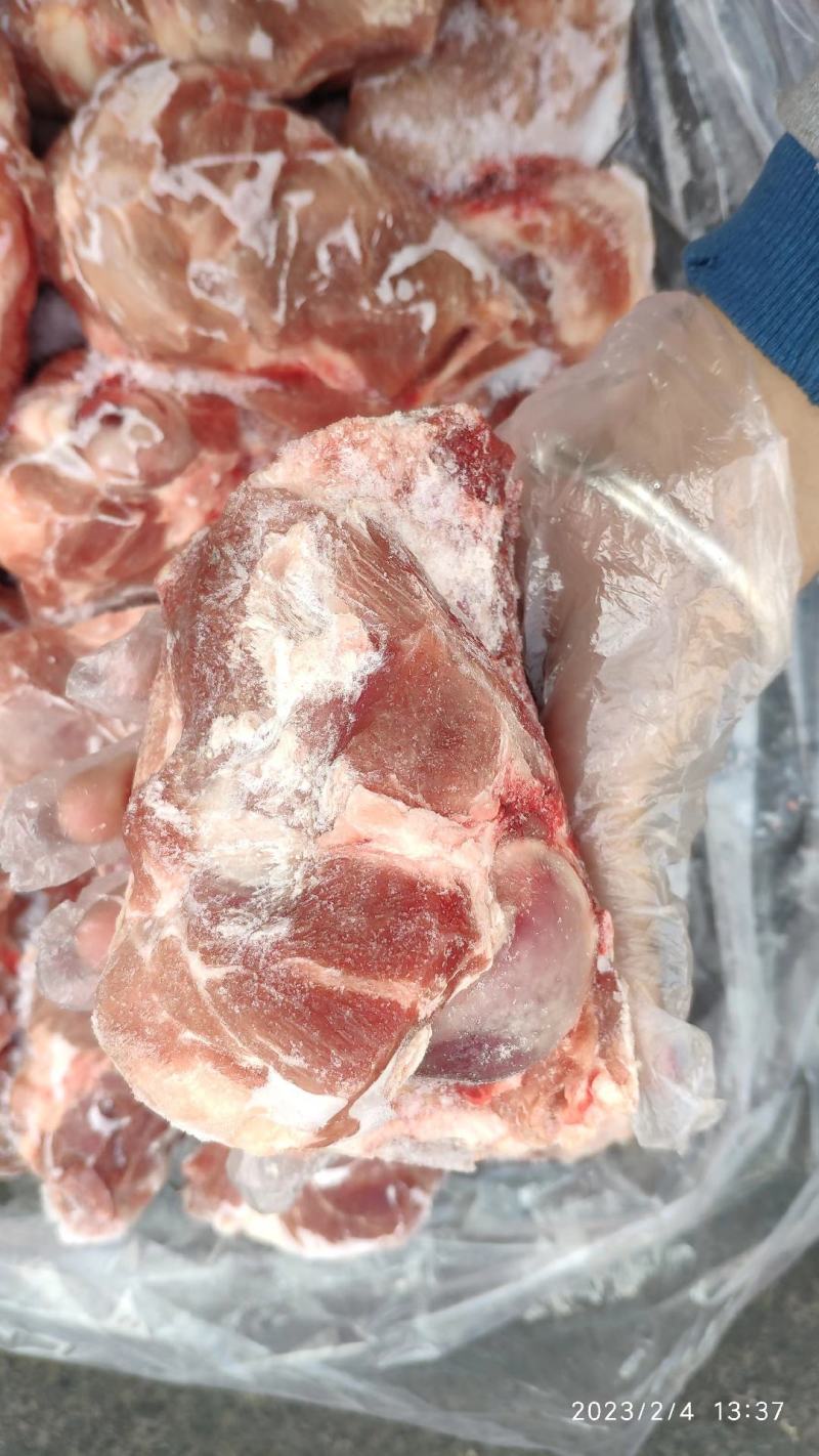 前腿骨/多肉前腿骨