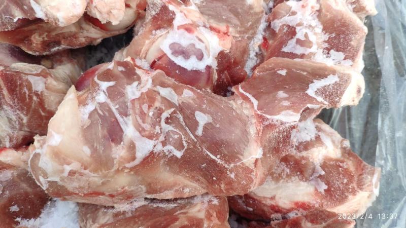 前腿骨/多肉前腿骨