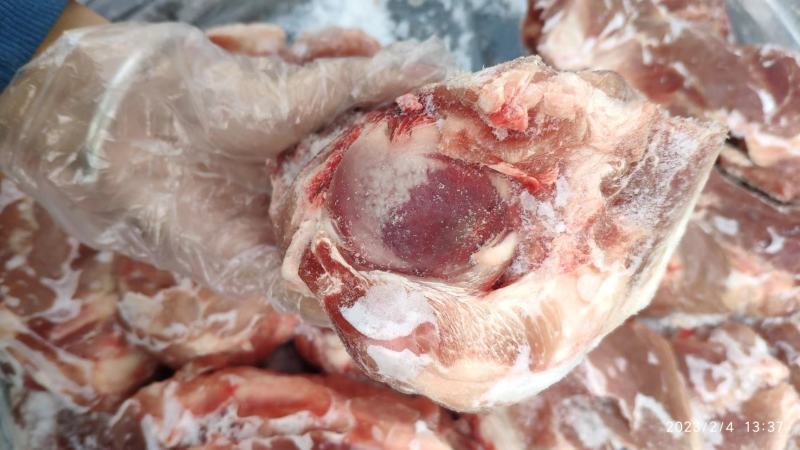 前腿骨/多肉前腿骨