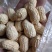 豌豆子
