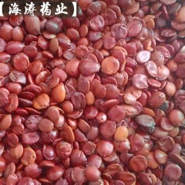 【枣仁】酸枣仁进口枣仁炒枣仁规格齐全质量保证量大优惠。