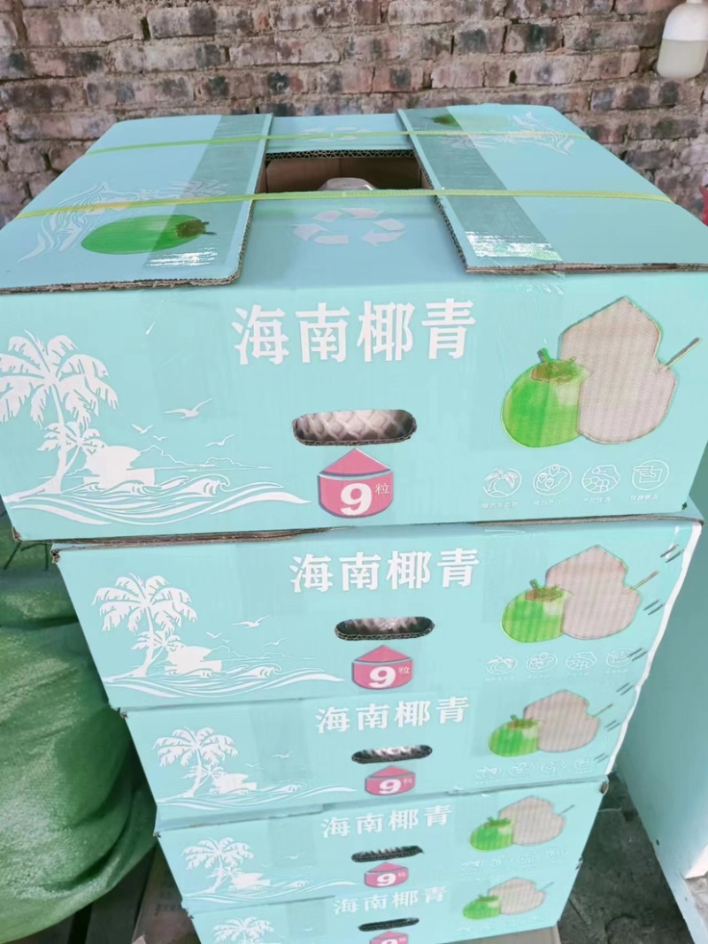 【椰子】海南椰子原产地货源充足保证质量，现摘现装整车发货