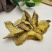 三颗针药材干货三颗针根片冷背中药材欢迎选购！