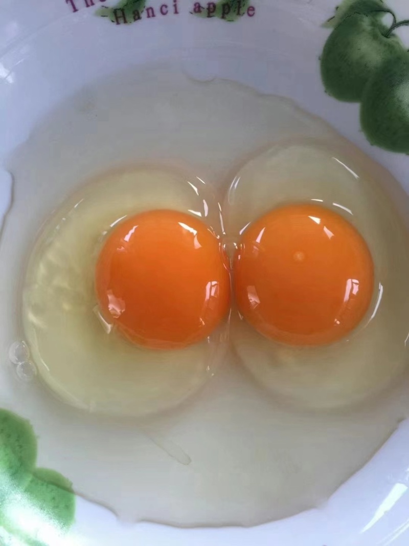 480枚绿壳鸡蛋绿壳乌鸡蛋绿壳草鸡蛋鸡场直供包新鲜