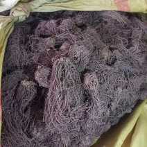 出售安国地产紫苑