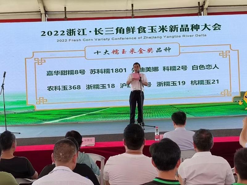 国审白甜糯玉米种子1801玉米种子大棒口感形