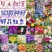 野花组合种子多年生四季播种花卉种子波斯菊格桑花百日草种籽
