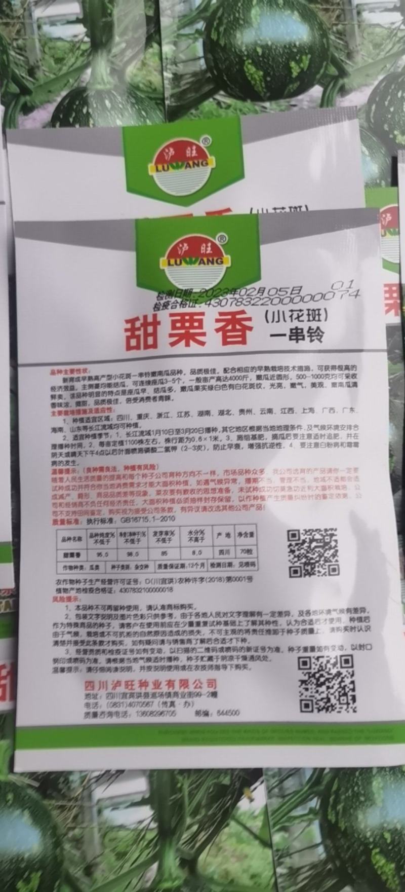 小南瓜种子甜栗香靑花皮黄心南瓜肉紧实香味浓结瓜多