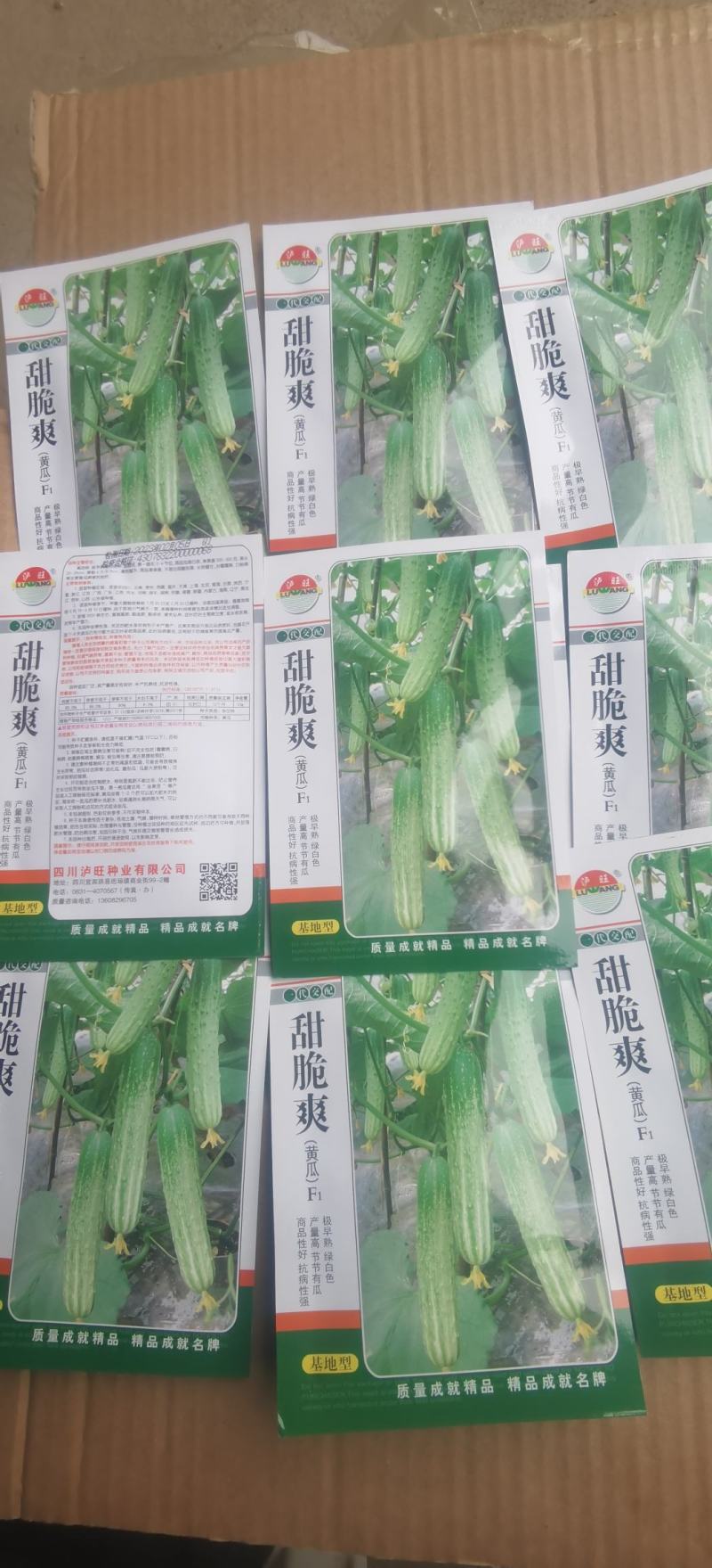 水果黄瓜种子甜脆爽全雌节节有瓜靑绿白瓜条顺直无苦味