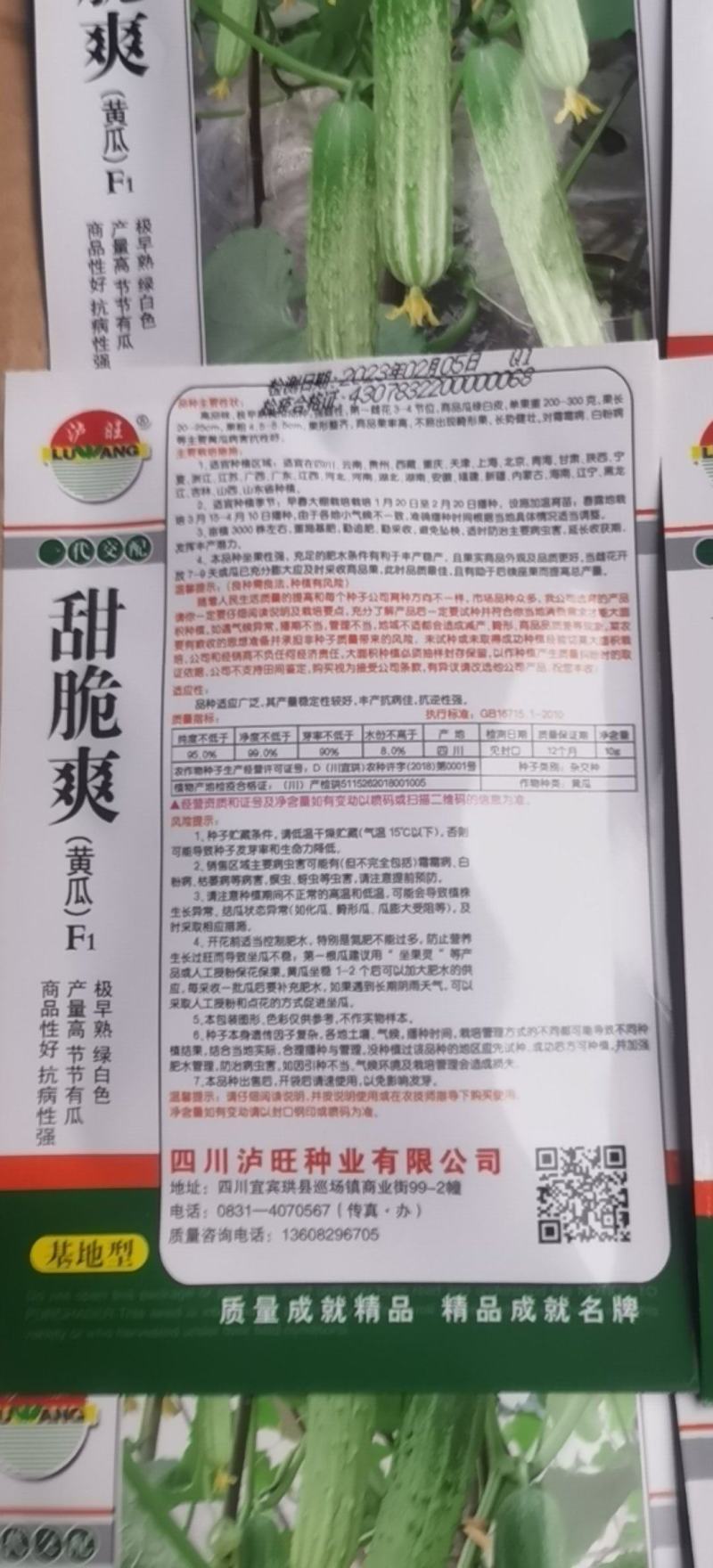 水果黄瓜种子甜脆爽全雌节节有瓜靑绿白瓜条顺直无苦味