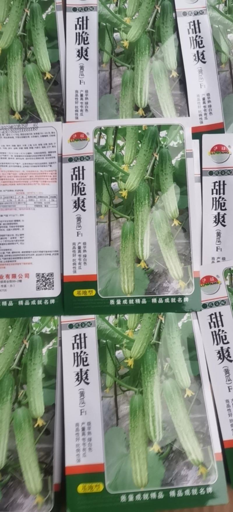 水果黄瓜种子甜脆爽全雌节节有瓜靑绿白瓜条顺直无苦味