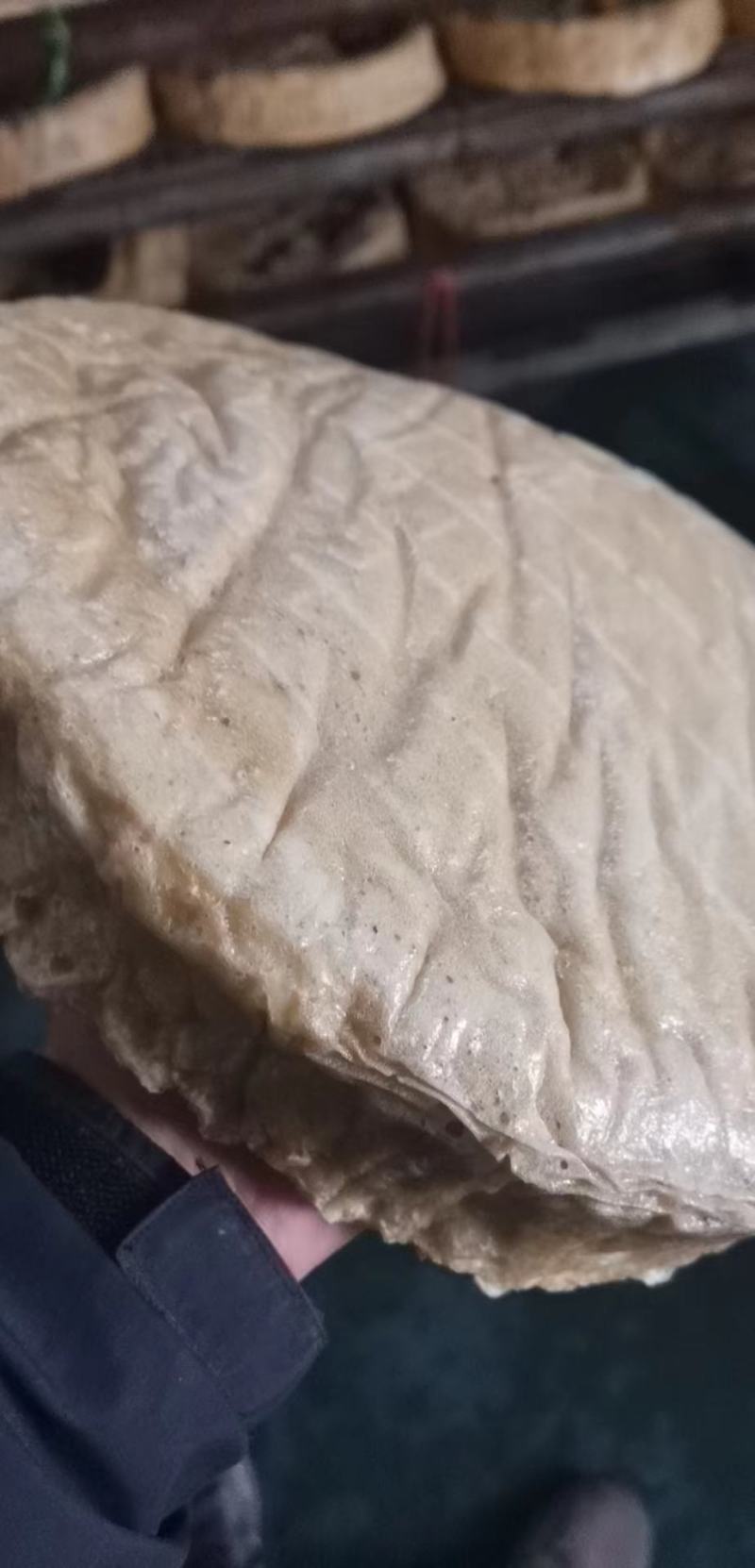 【源头直发】面筋块全筋面筋，对接市场/饭店/商超电联