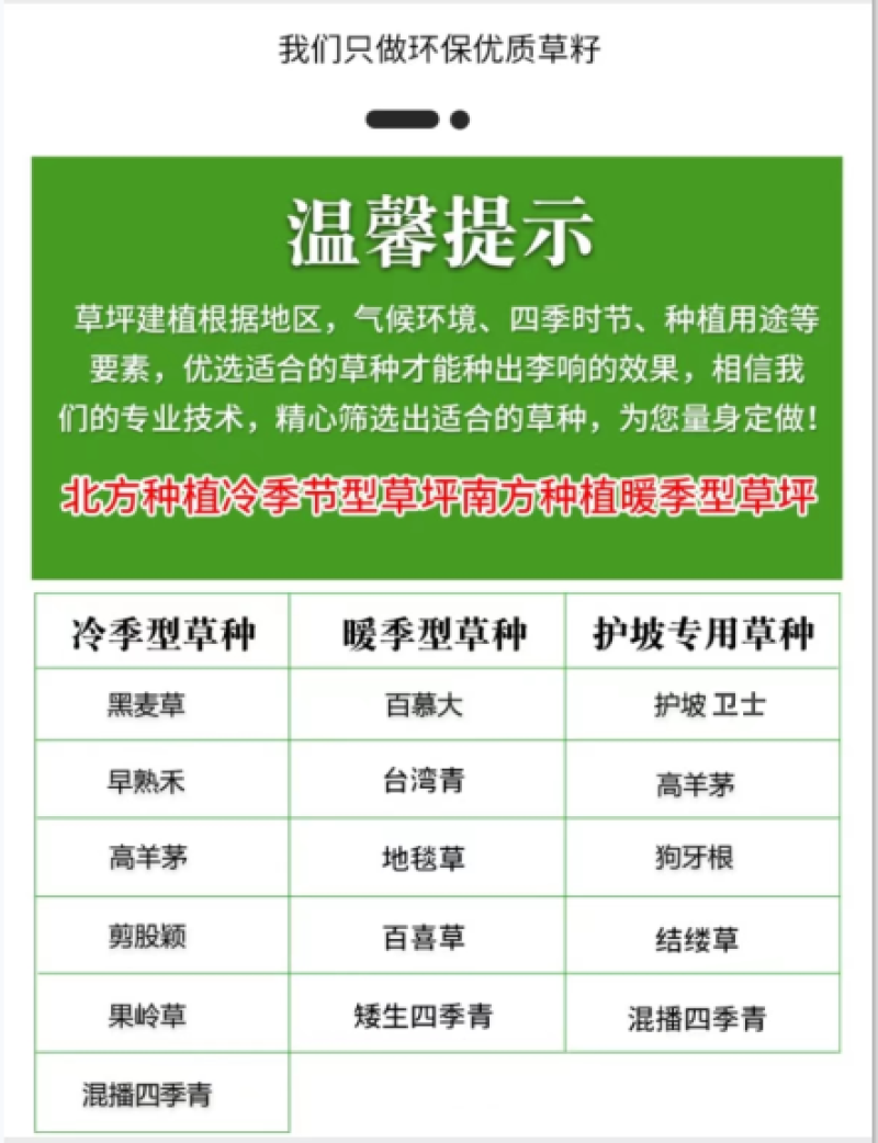 地毯草种子庭院绿化草坪草籽耐旱四季常青庭院矮生草种草皮籽