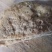 【量大从优】面筋块全筋面筋，可串串香/饭店/商超电联