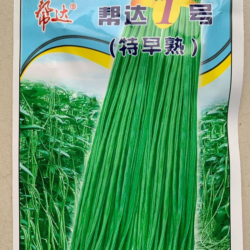 帮达1号豇豆生长势旺耐高温抗逆性强无鼠尾肉质紧实商品性佳
