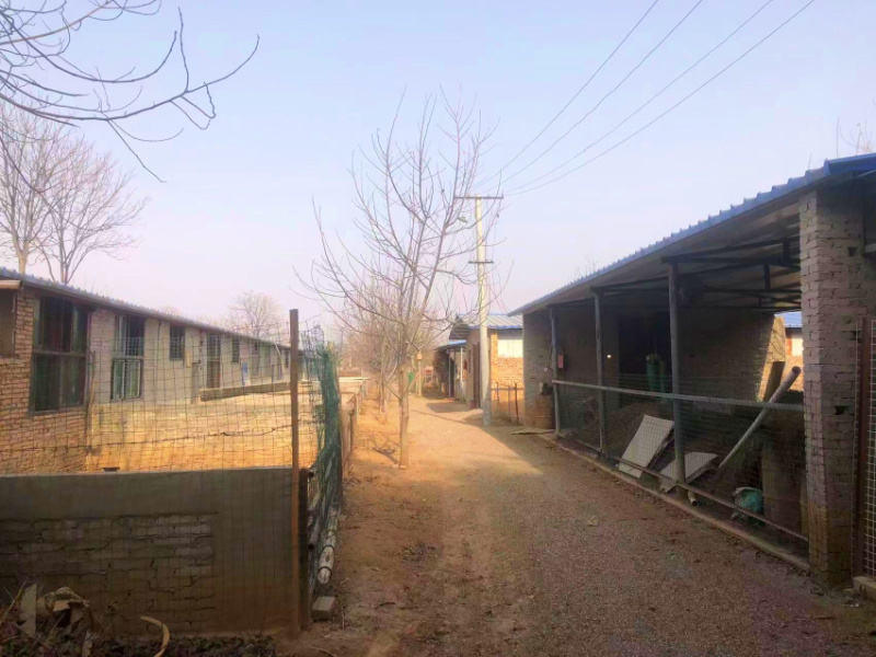 养殖场出租