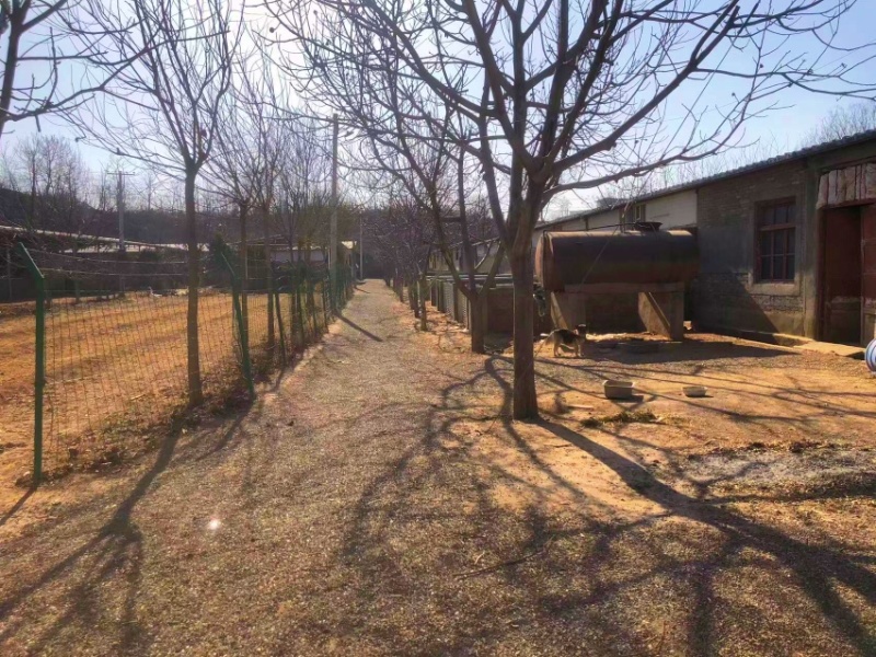 养殖场出租