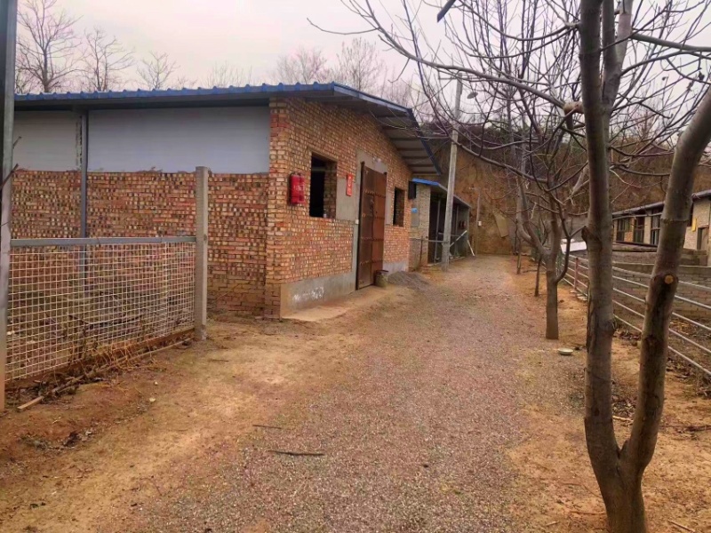 养殖场出租