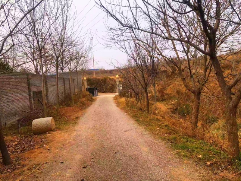 养殖场出租