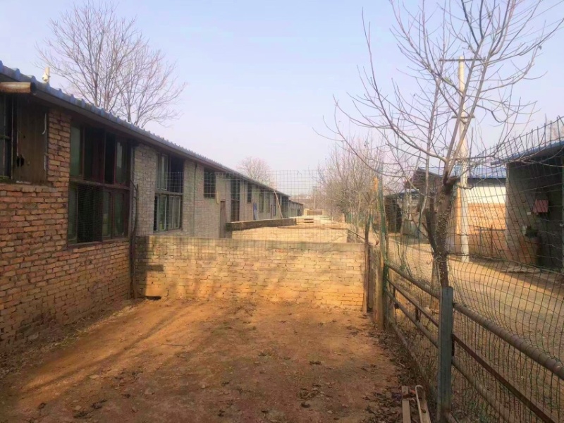 养殖场出租