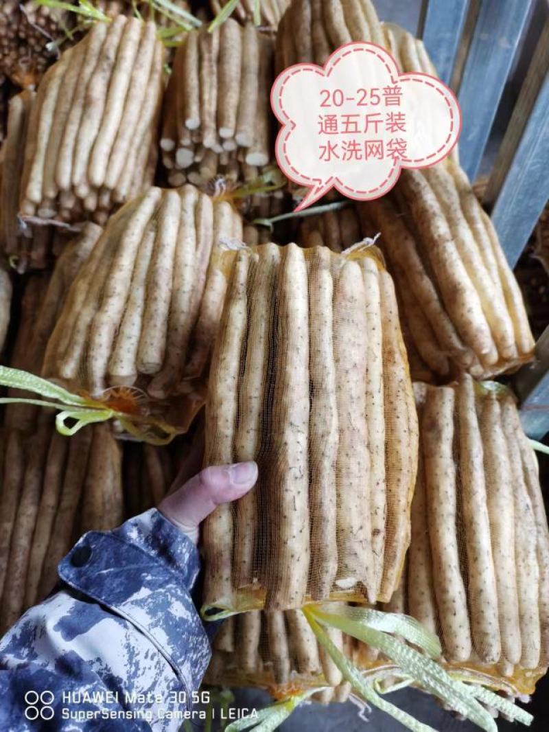 (推荐)小白嘴、铁棍山药，产地直供全国各大批发市场
