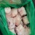 猪小肘纯干无冰品质保证全国发货欢迎选购