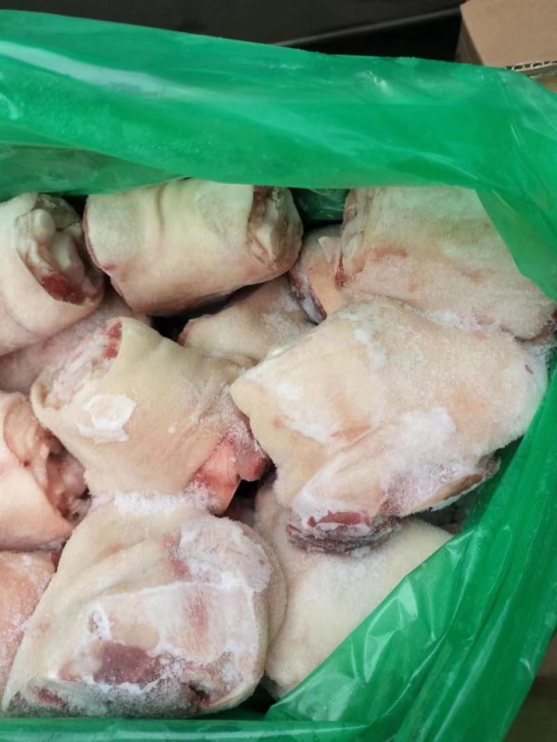 猪小肘纯干无冰品质保证全国发货欢迎选购