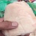 猪小肘纯干无冰品质保证全国发货欢迎选购