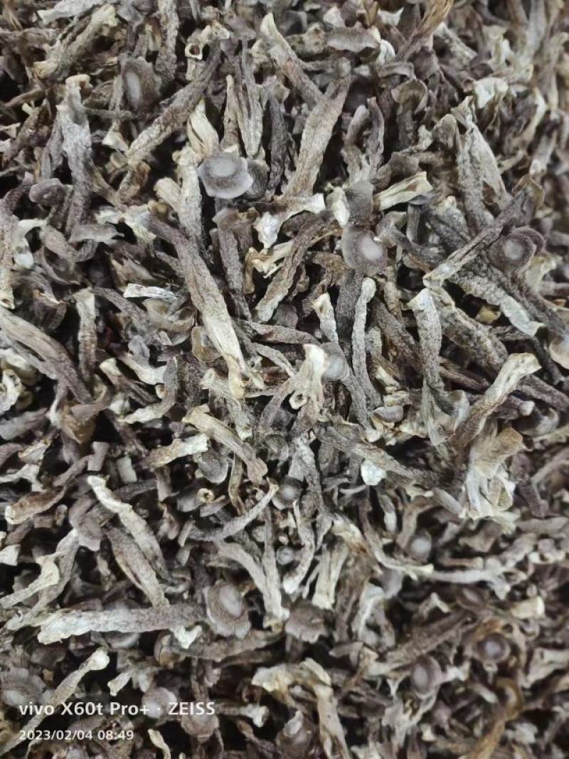 【优选】镇江丹阳鹿茸菇干货精选好货诚信经营量大从优