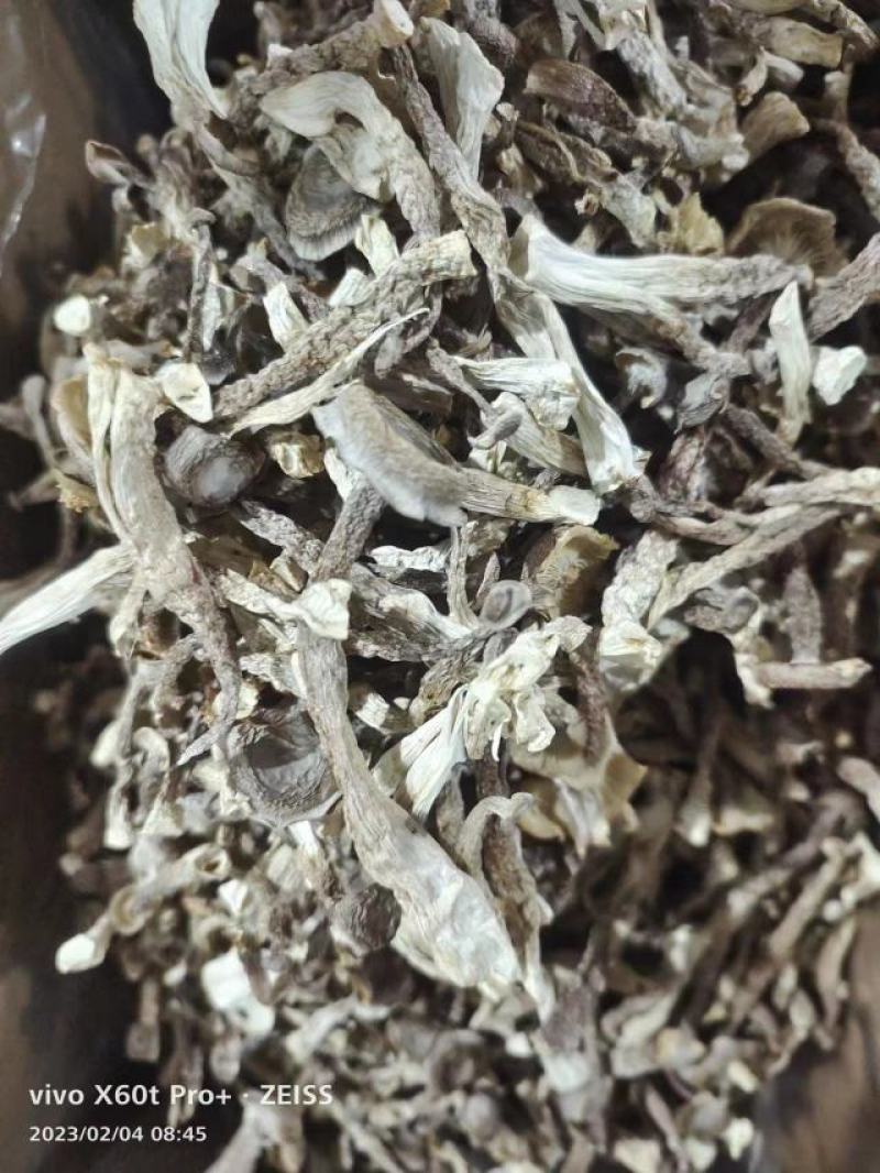 【优选】镇江丹阳鹿茸菇干货精选好货诚信经营量大从优