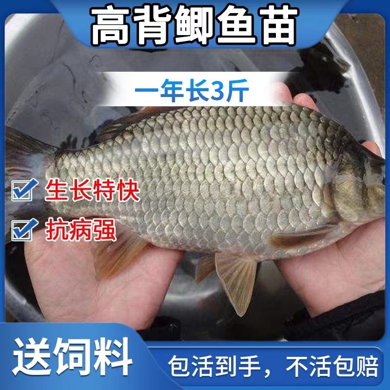水产