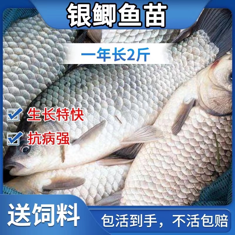 水产