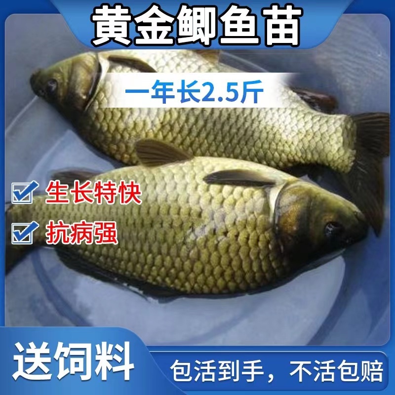 水产