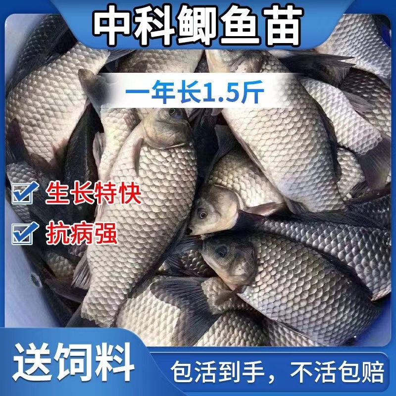 水产