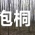 4/8公分泡桐