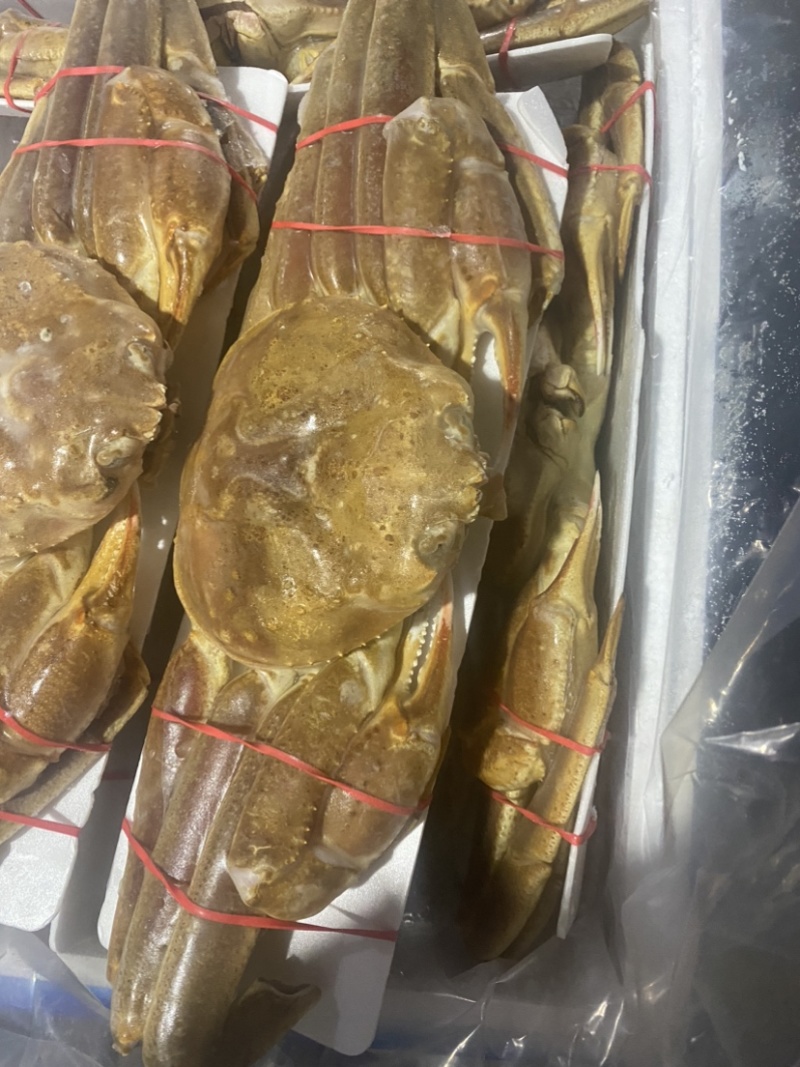 上海宝山江阳水产品板蟹，品质保证，量大从优欢迎采购