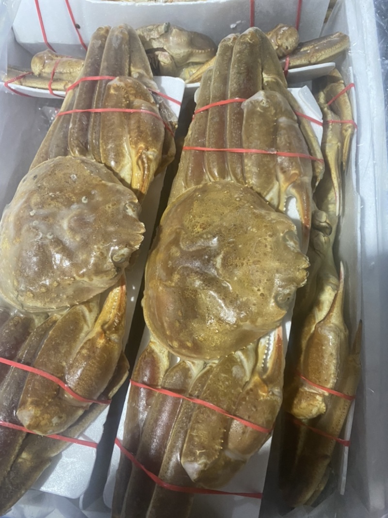 上海宝山江阳水产品板蟹，品质保证，量大从优欢迎采购