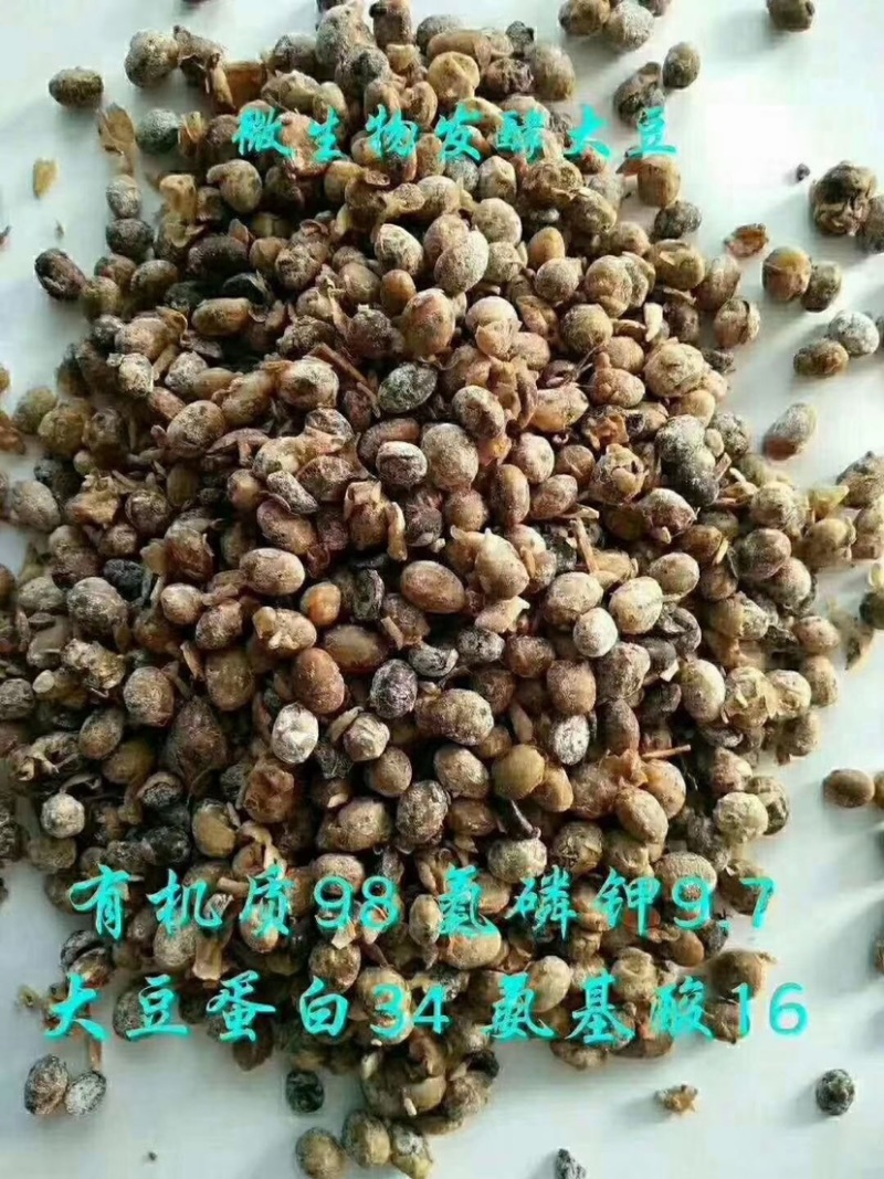 发酵大豆（添加益生菌，作物用后品质好，口感好，卖价高）