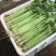 河北邯郸香芹大量上市中欢迎新老客户前来采购诚信经营