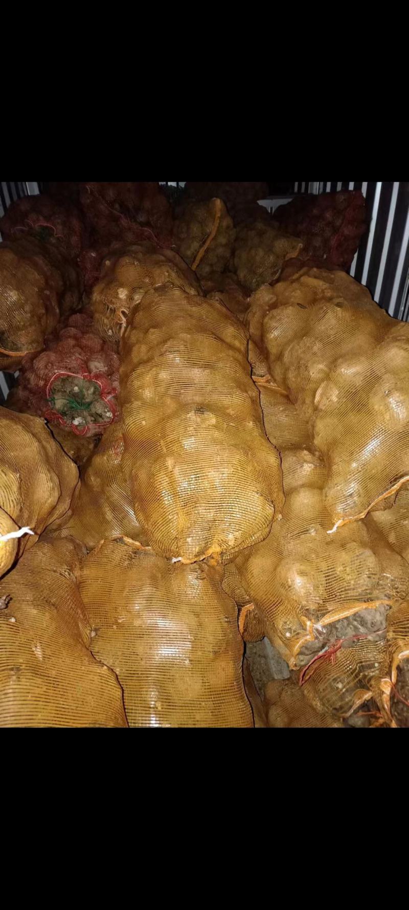 【牛商商家】魔芋贵州魔芋自产自销产地发货量大从优