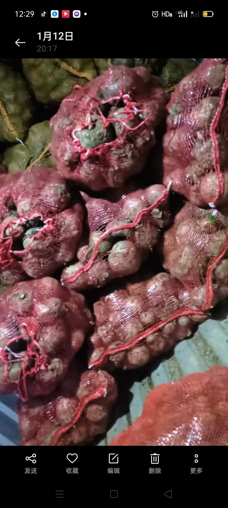 【牛商商家】魔芋贵州魔芋自产自销产地发货量大从优