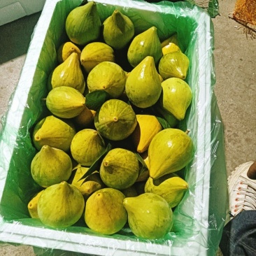 云南鸡蛋果蛋黄果水果