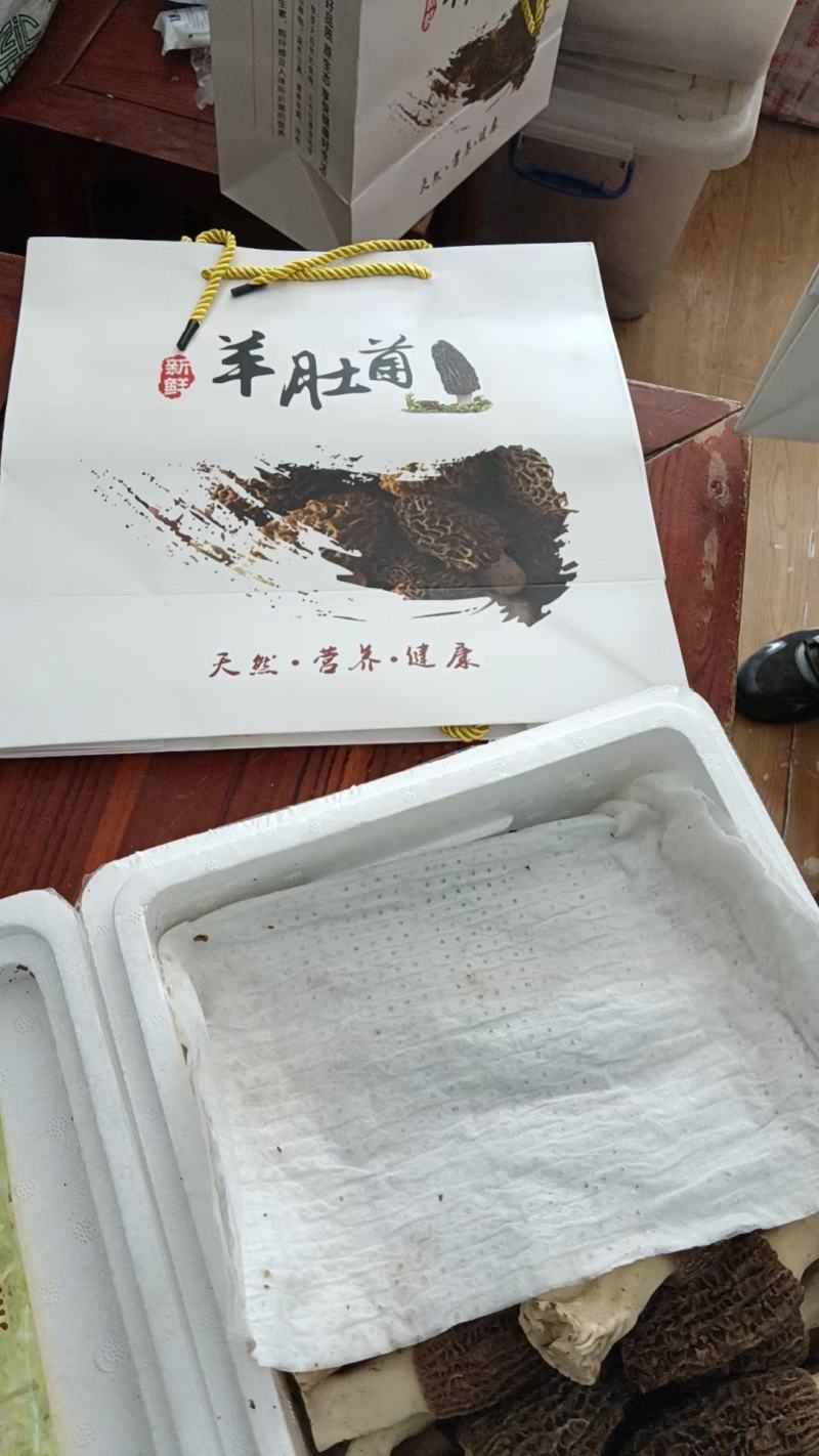 羊肚菌鲜货