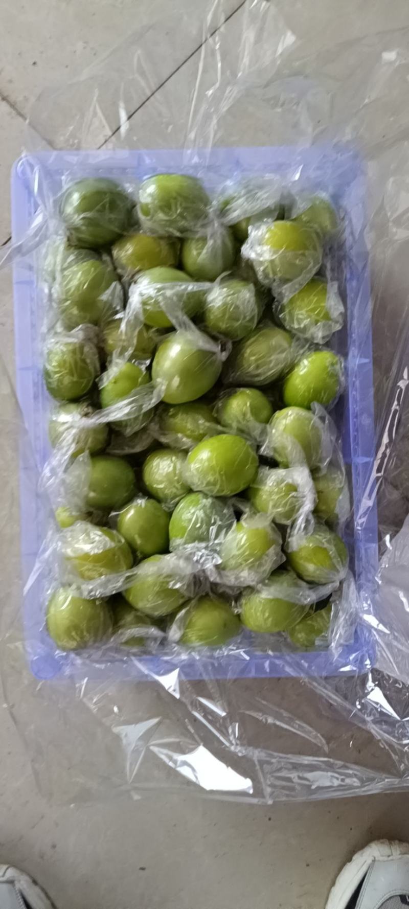 **老树，大青枣，密丝枣，牛奶枣，清甜爽口，对接多多电商