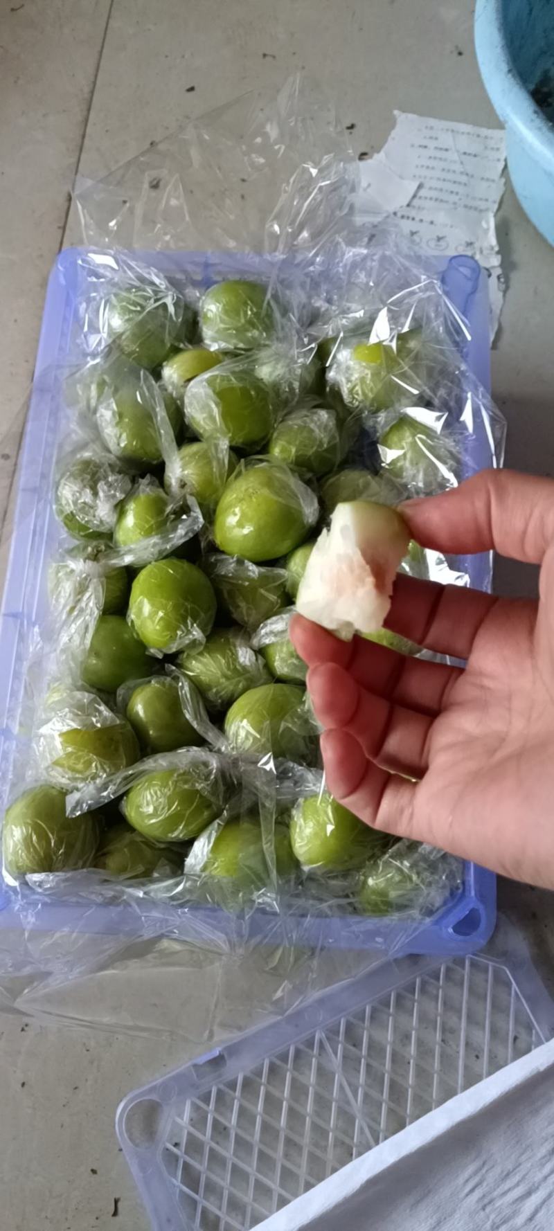 **老树，大青枣，密丝枣，牛奶枣，清甜爽口，对接多多电商